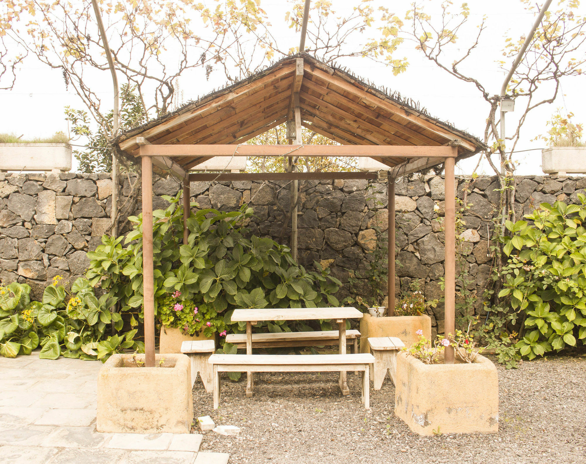Casa Rural La Tanquera Los Realejos Dış mekan fotoğraf