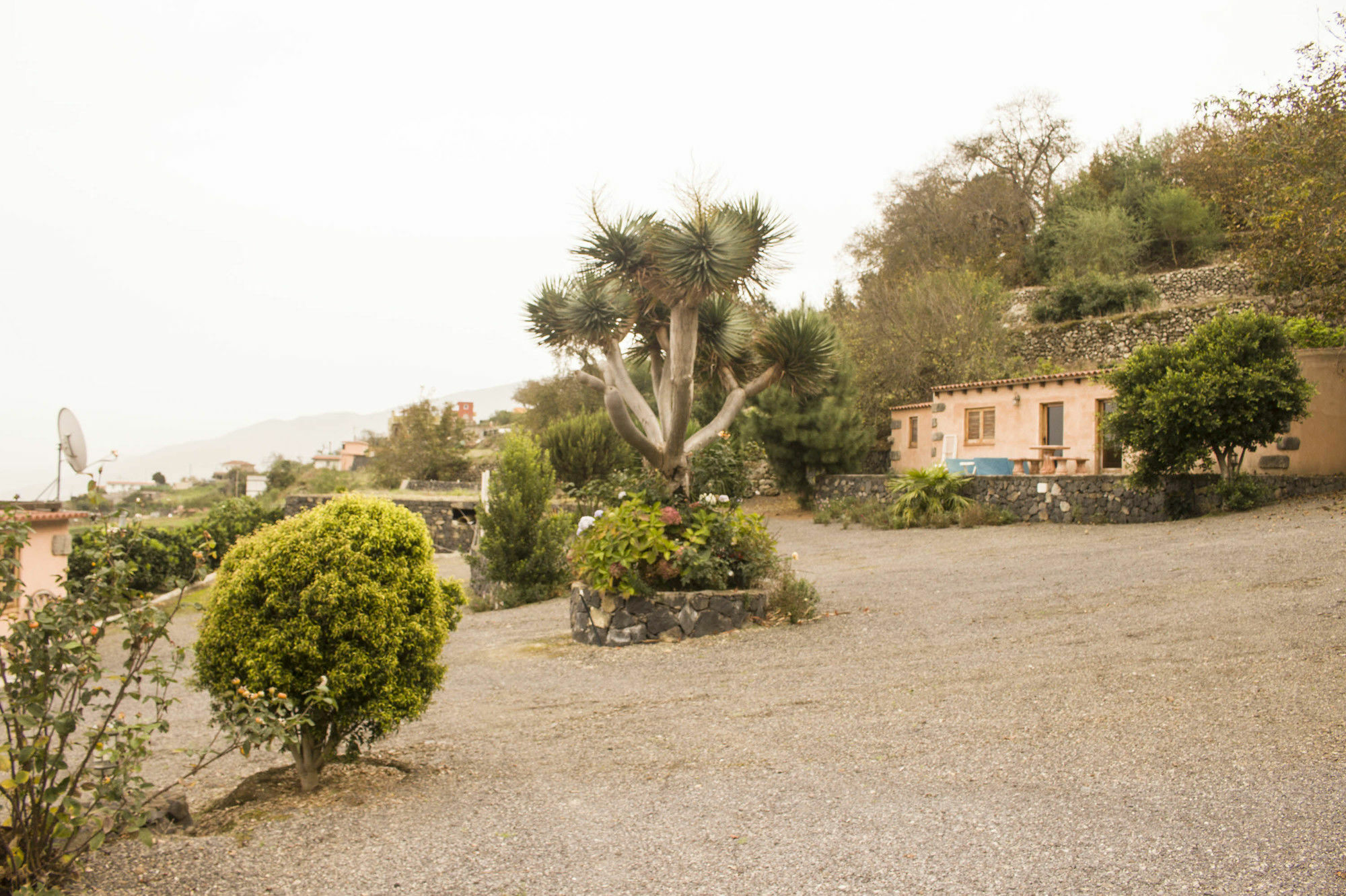 Casa Rural La Tanquera Los Realejos Dış mekan fotoğraf