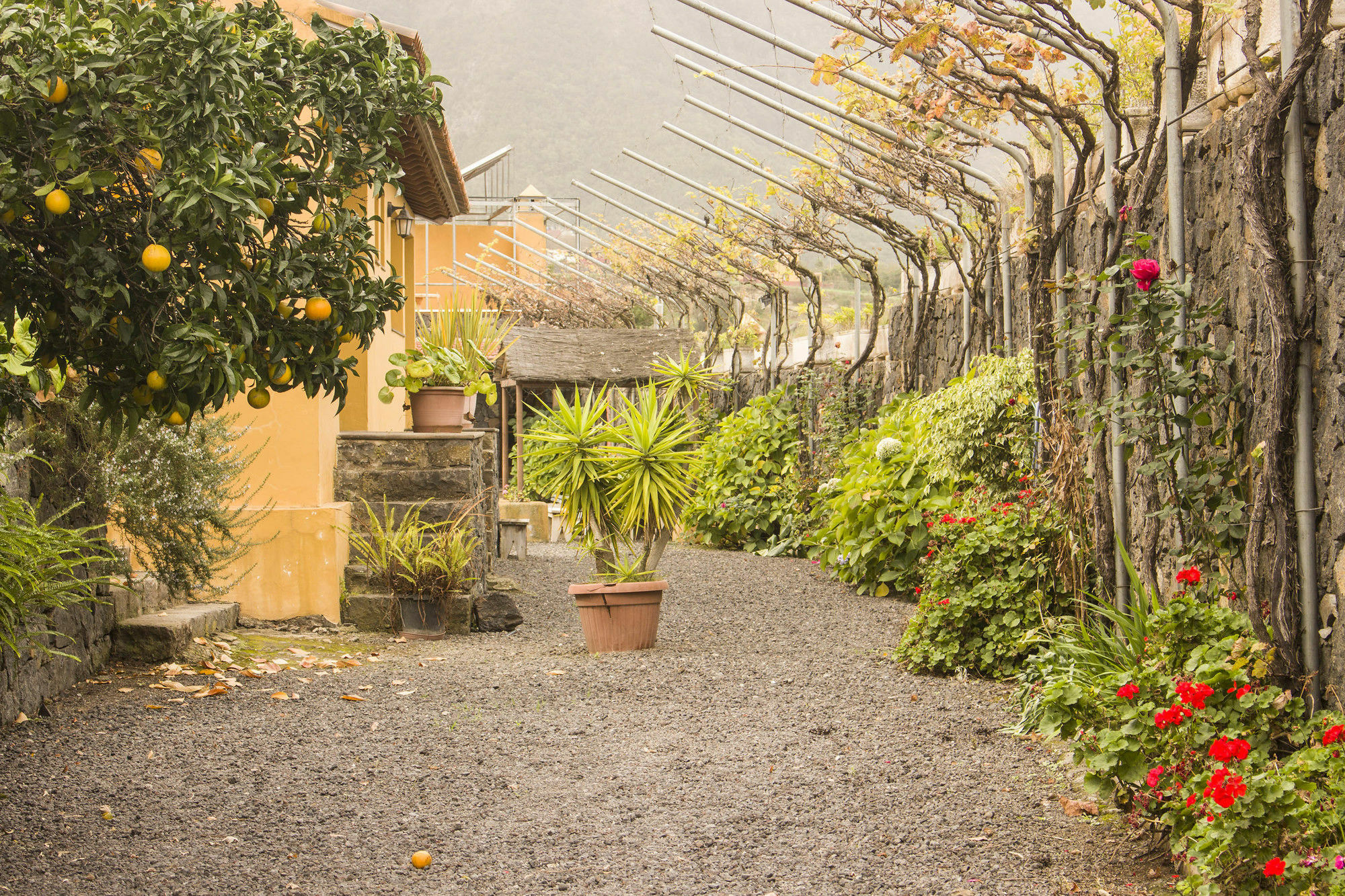 Casa Rural La Tanquera Los Realejos Dış mekan fotoğraf